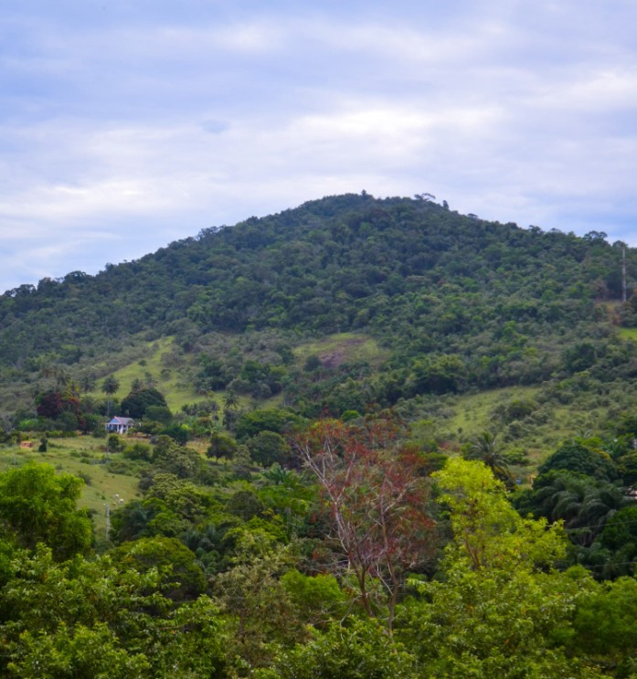 Caminhada Ecocultural ao Monte Urubu