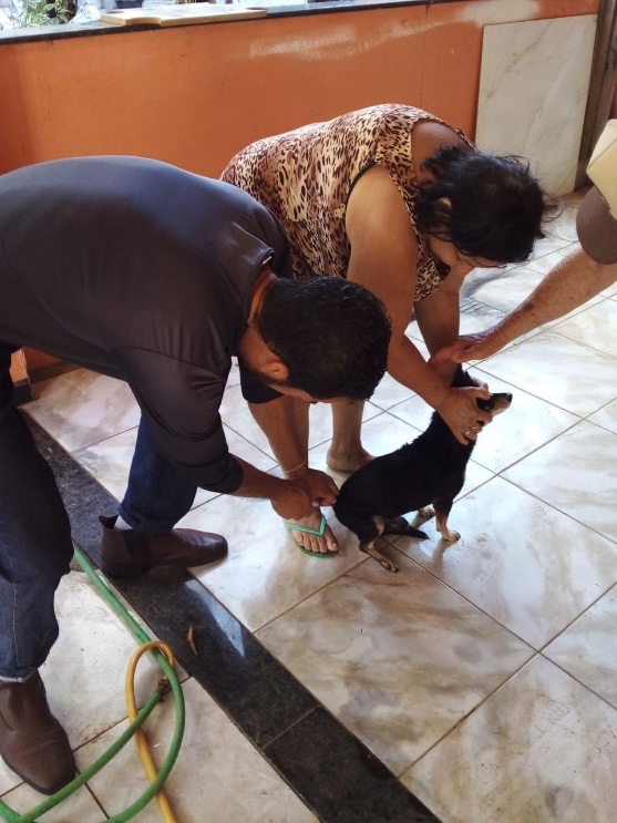 Vacinação contra a Raiva em Anchieta