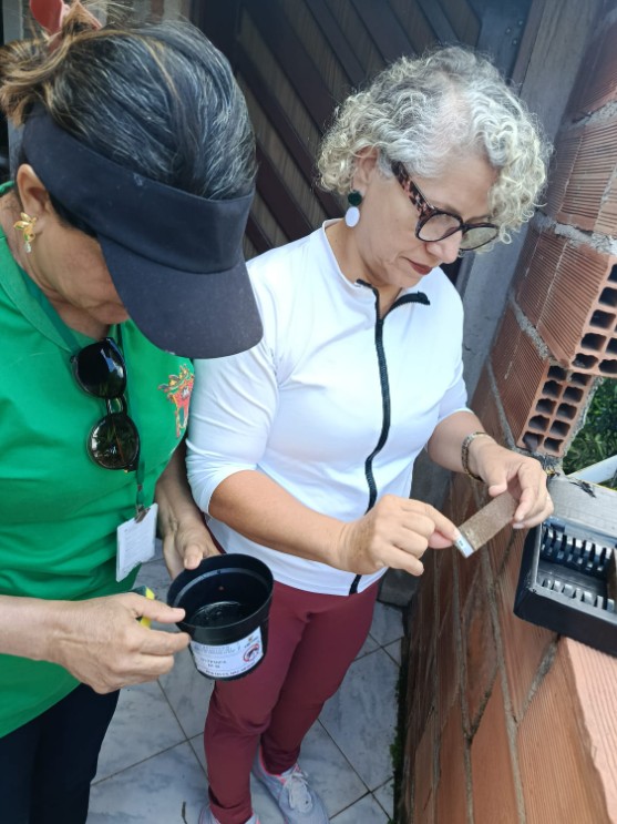 Imagem sobre ações de combate ao Aedes aegypti