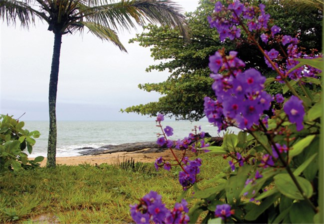 Capa da notícia 23 praias para se refrescar em Anchieta durante o verão