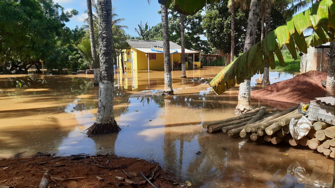 Capa da notícia  Comunidade de Limeira em estado de alerta