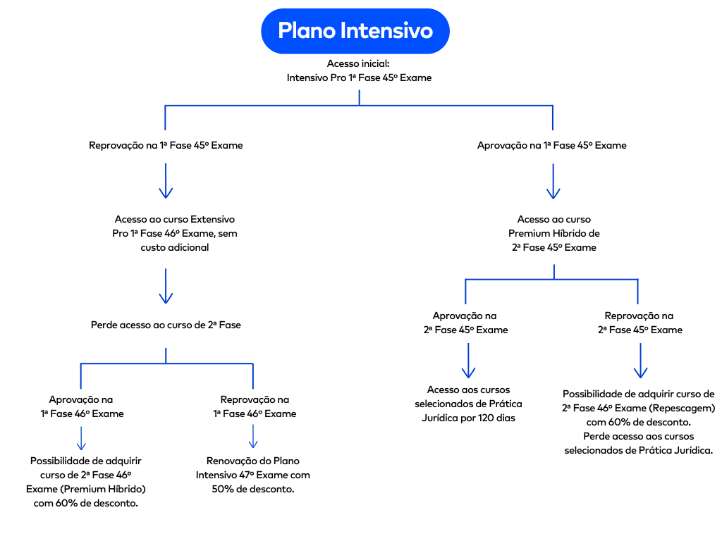 <p>Entenda como funciona o Plano Intensivo 45º Exame do Ceisc:</p>
