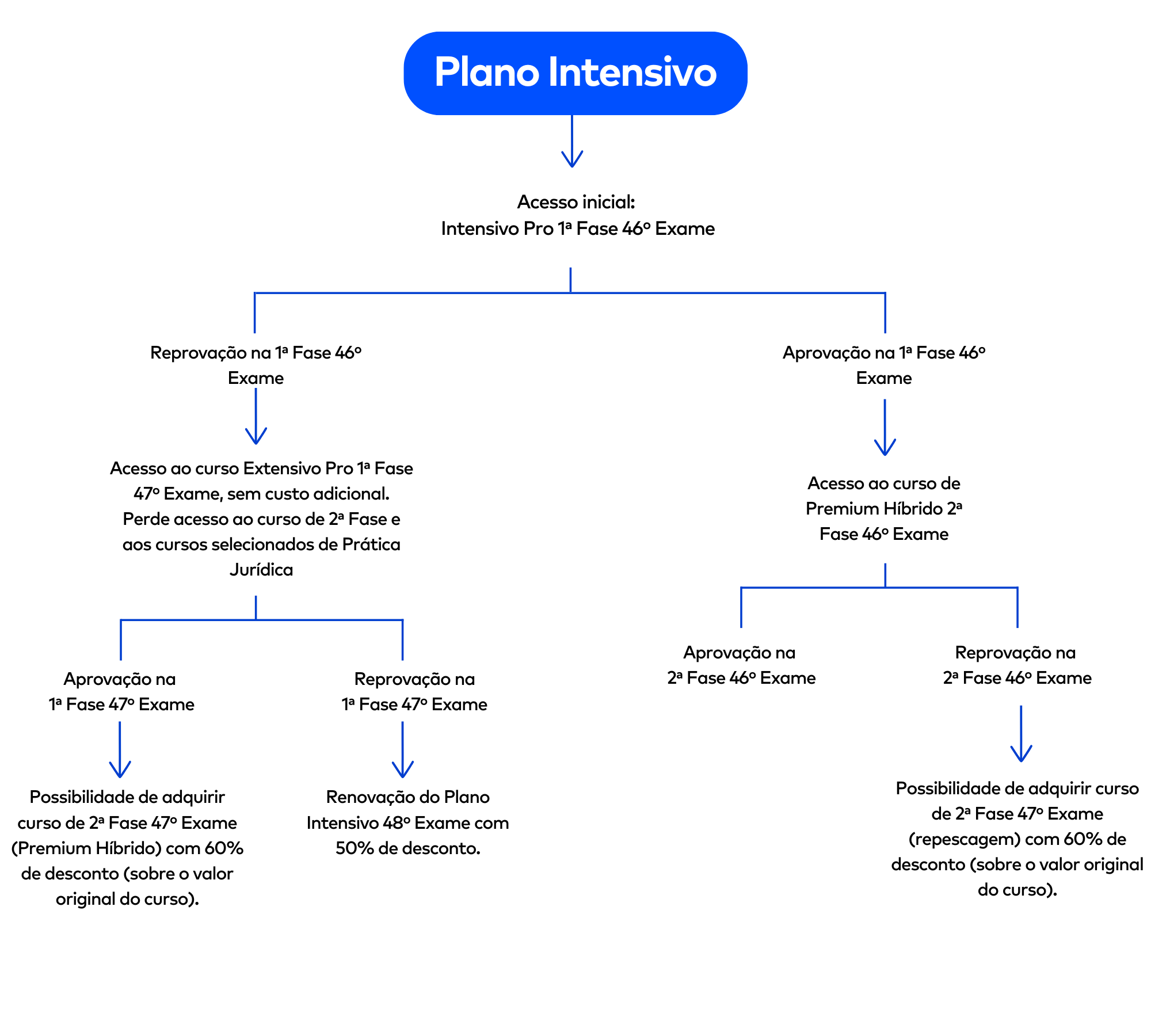 <p>Entenda como funciona o Plano Intensivo 46º Exame do Ceisc:&nbsp;</p>