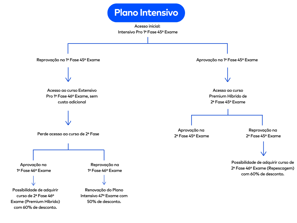 <p>Entenda como funciona o Plano Intensivo 45º Exame do Ceisc:</p>