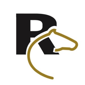 RAQUEL COSTA ASSESSORIA E GESTÃO