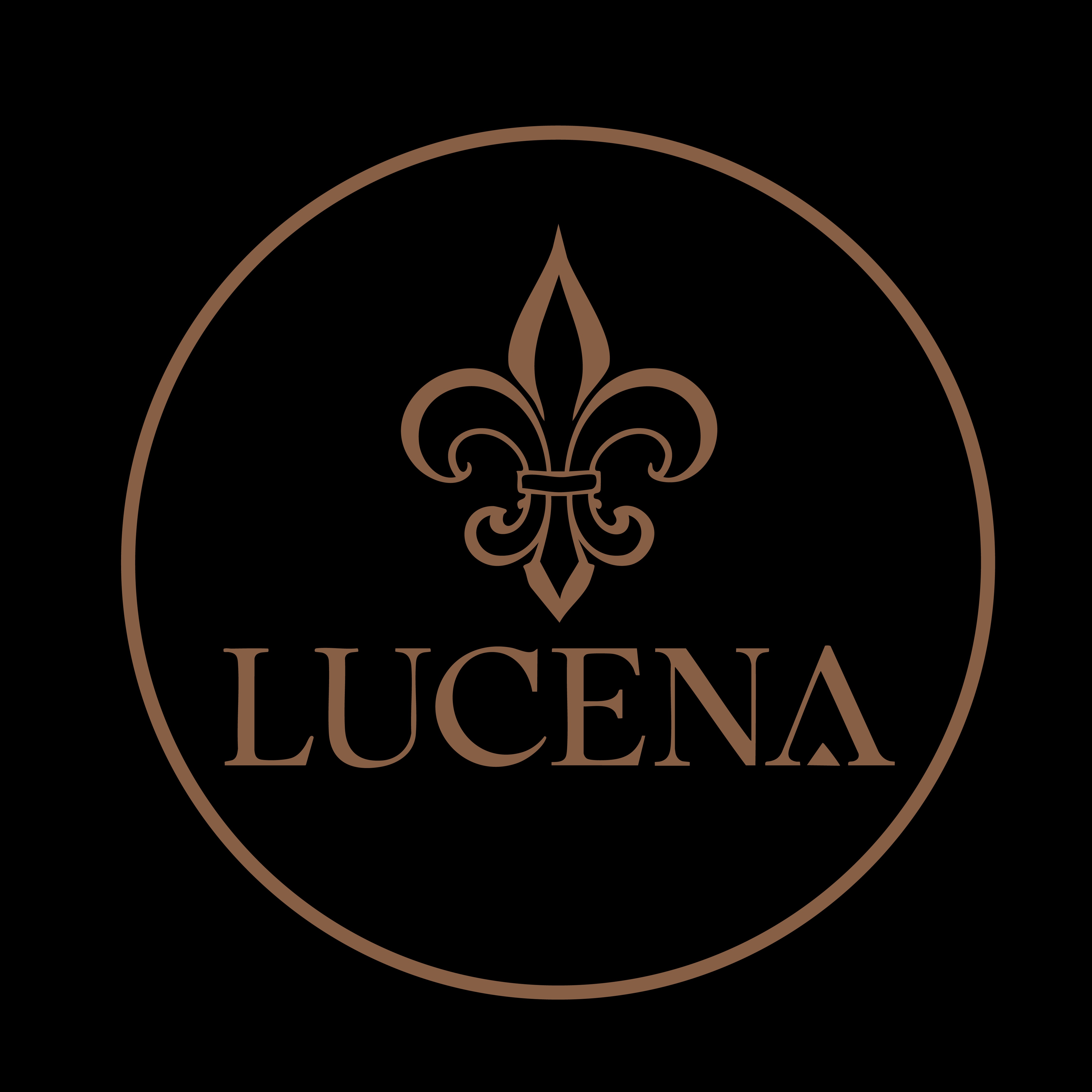 Lucena Assessoria em Eventos