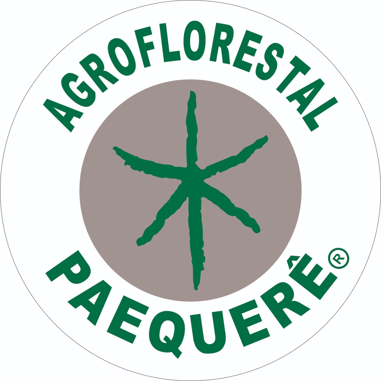 Logo Cliente