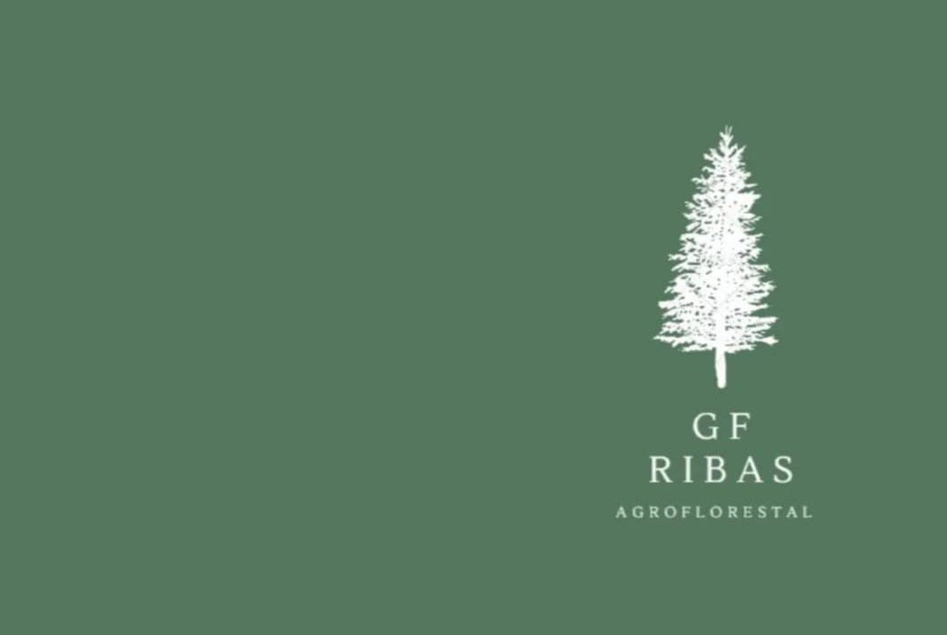 Logo Cliente