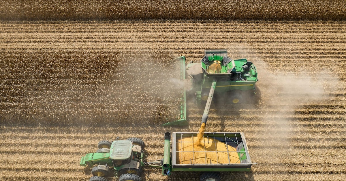 Gigantes do agronegócio enfrentam desafios com tarifas de Trump em seus negócios