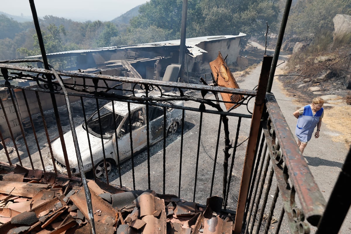 Fogo avança em Monterrei e moradores temem por suas vidas em meio ao pânico