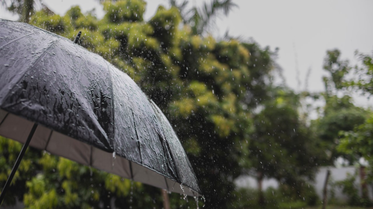 Previsão indica "veranico" seguido por frio em São Paulo (Foto: Marcelo Camargo/Agência Brasil)