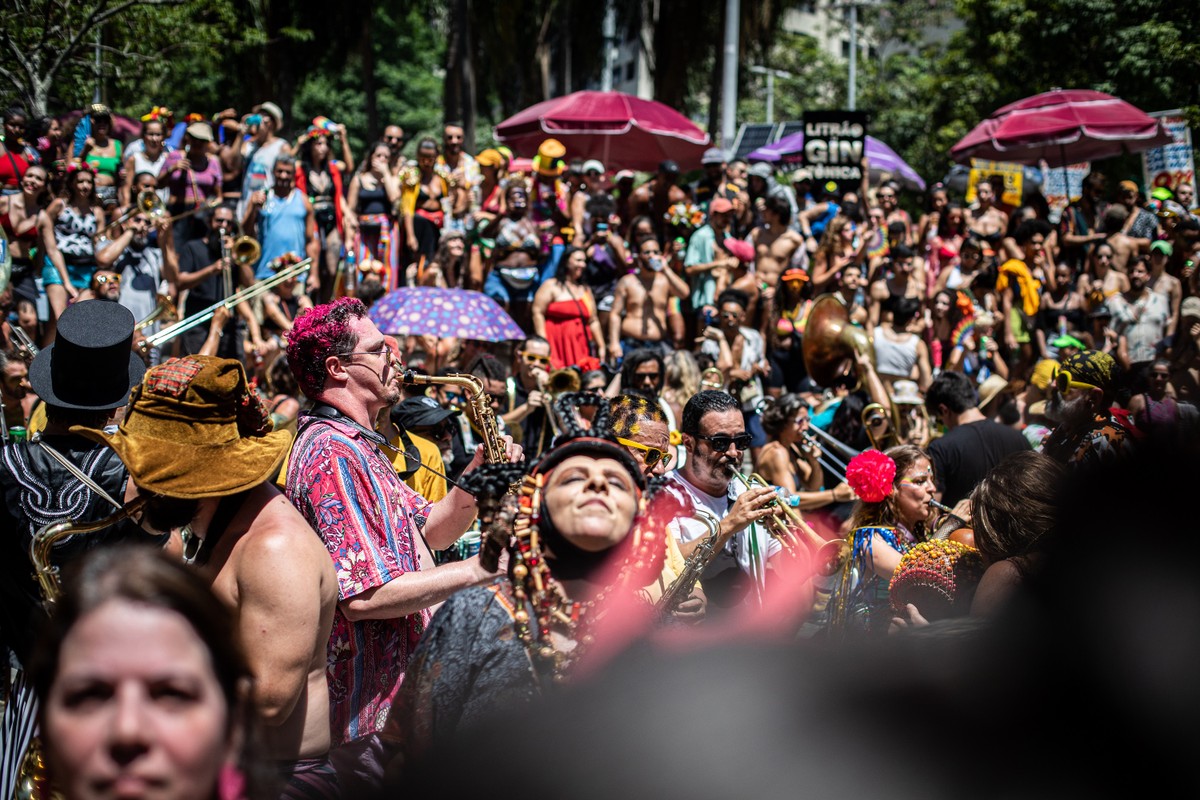 Blocos de carnaval movimentaram a cidade durante o mês de fevereiro (Foto: HERMES DE PAULA)