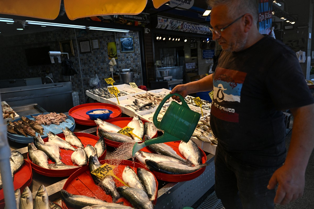 Salmão turco se torna nova sensação do mar Negro e atrai investidores internacionais