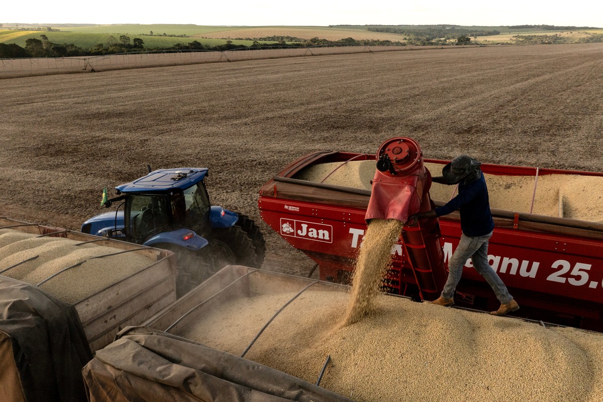 Trabalhadores durante a colheita de soja em uma fazenda em Orizona, Goiás (Foto: Dado Galdieri/Bloomberg)