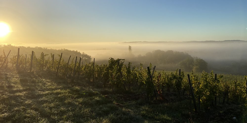 Monbazillac se revela encantador sob a neblina misteriosa