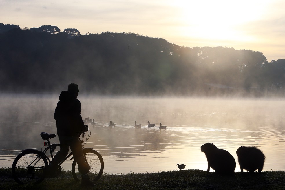 Frente fria provoca manhãs geladas no Sul e Sudeste; calor predomina no restante do país
