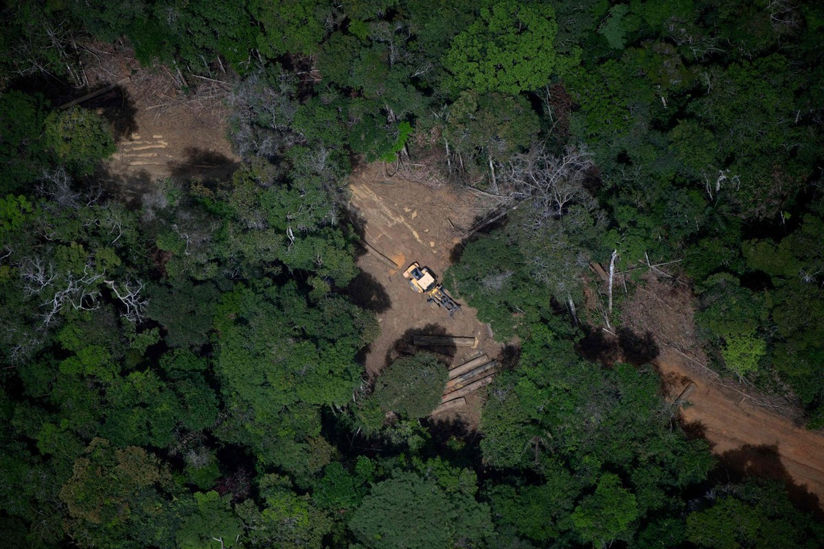 Justiça bloqueia R$ 49 milhões de envolvidos em desmatamento na Amazônia