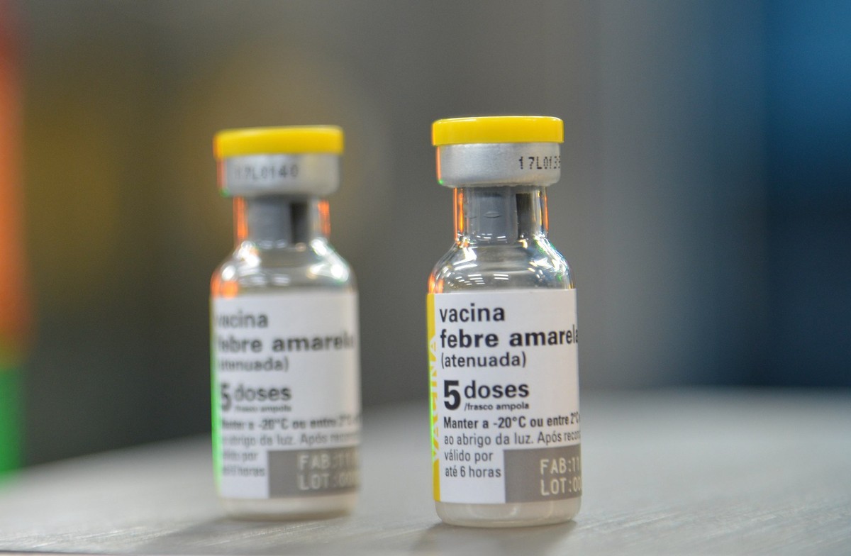 Febre amarela pode estar retornando e preocupa autoridades de saúde