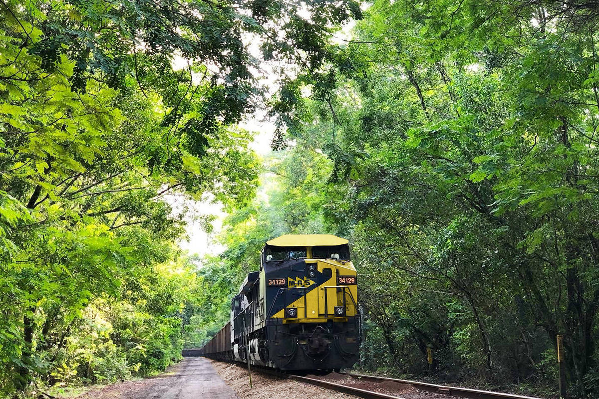 Locomotiva da concessionária MRS, que administra uma malha ferroviária de 1.643 km nos estados de Minas Gerais, Rio de Janeiro e São Paulo (Foto: Divulgação)