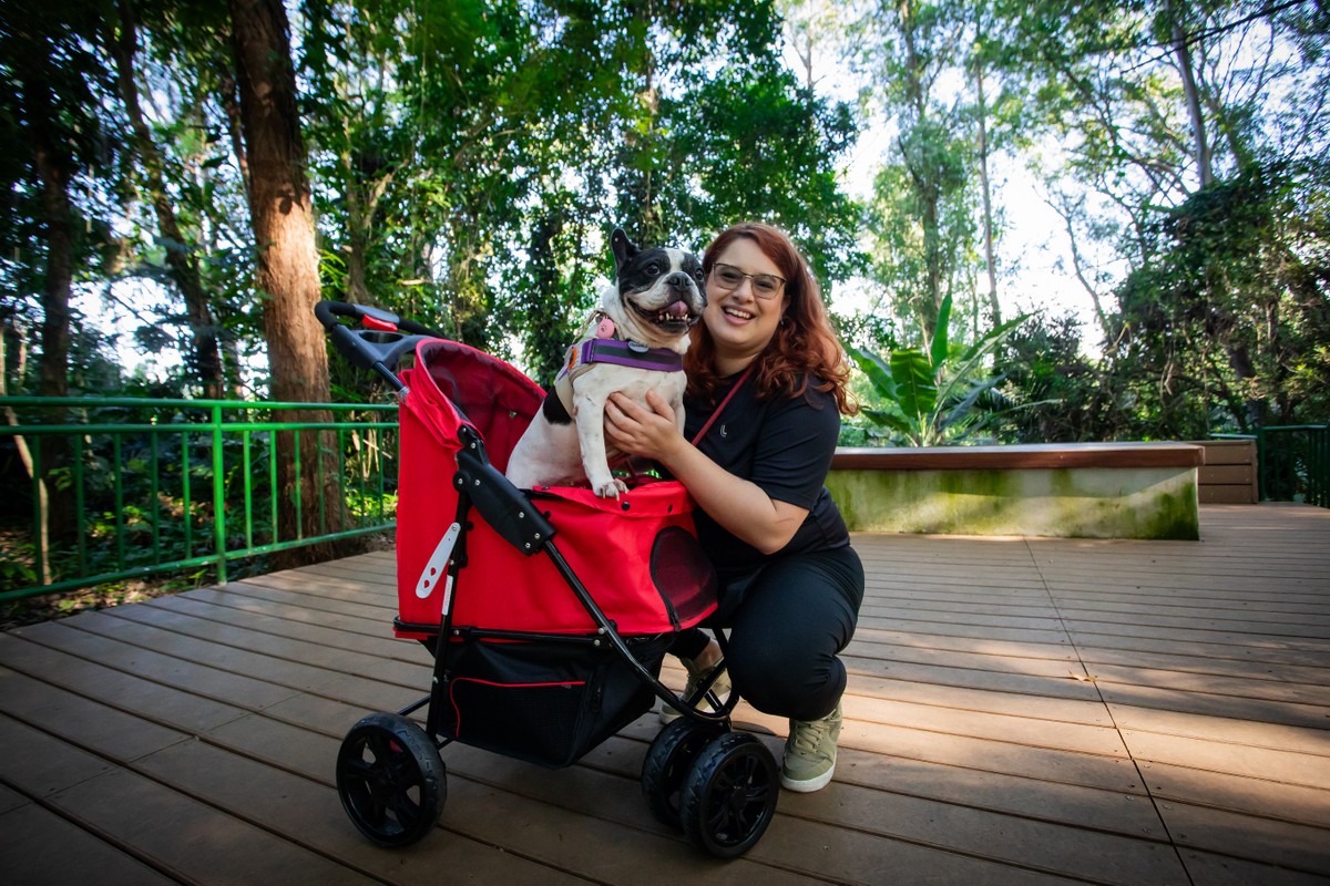 Amora, buldogue da advogada Thamyris, passeia no carrinho de bebê quando se sente cansada e tem dieta acompanhada por nutricionista (Foto: Edilson Dantas / O Globo)