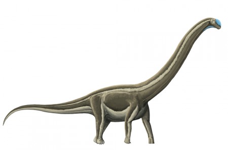 Doença óssea fatal elimina dinossauros pescoçudos no interior paulista