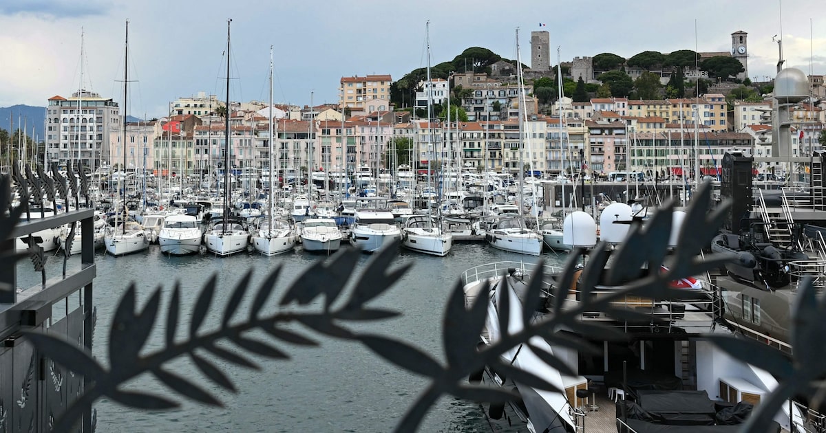 O cinema brasileiro é o convidado de honra do Mercado do Cinema de Cannes e também será tema de mesas redondas e apresentações especiais. (Foto: Bertrand Guay/AFP)