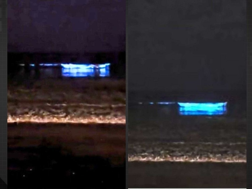 Mar de Santa Catarina brilha com fenômeno de bioluminescência em suas praias