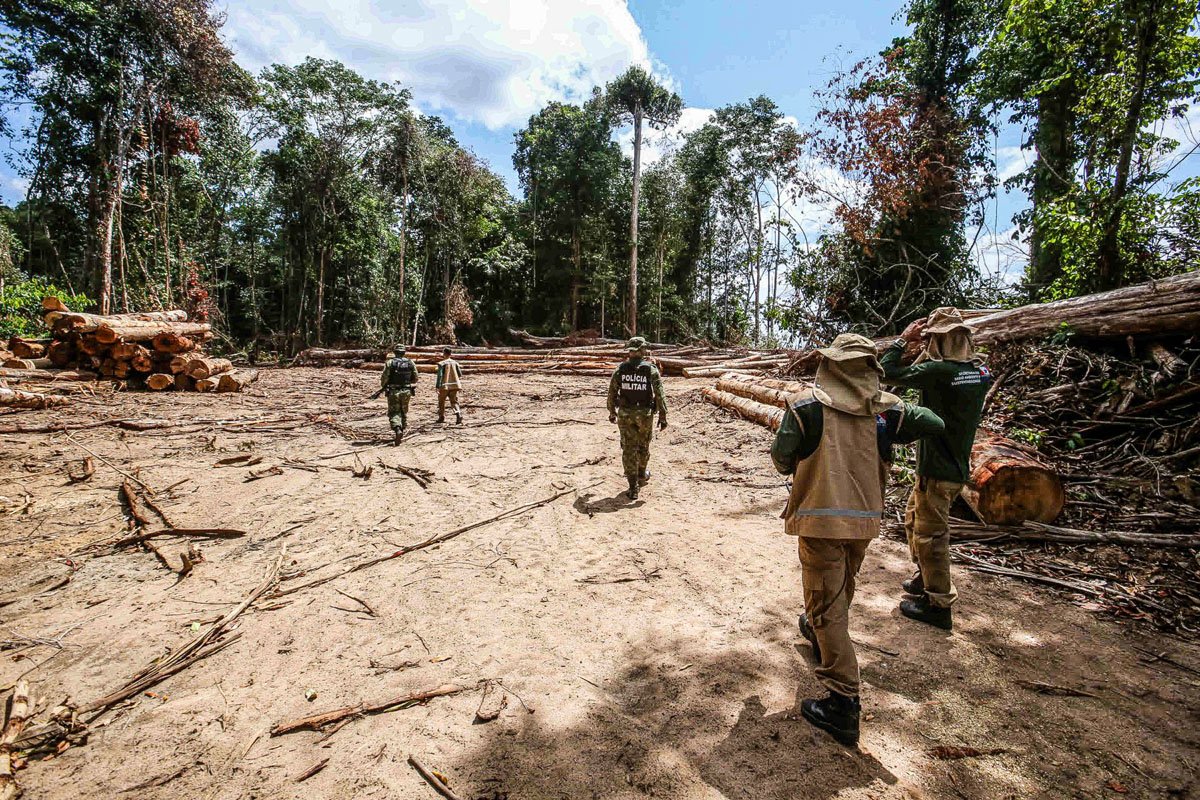 Empresas multadas pelo IBAMA lucram US$ 15 milhões com crédito de carbono na Amazônia