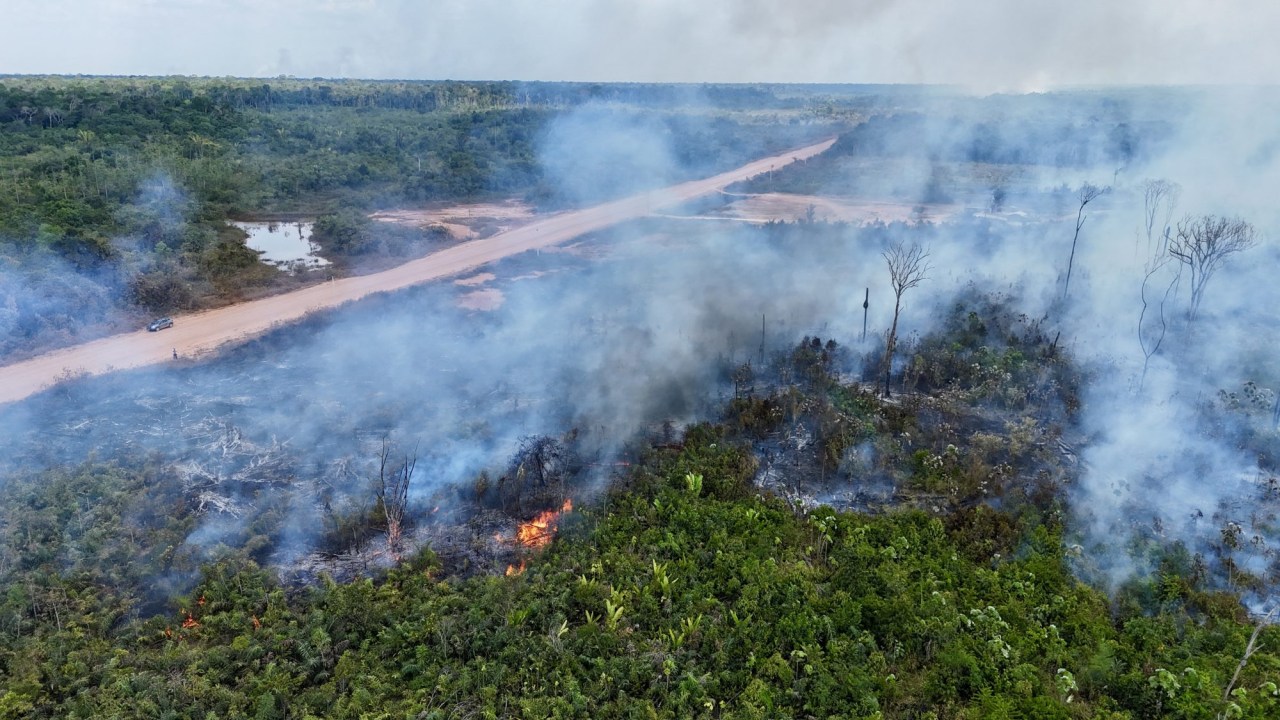 Pará lidera desmatamento em junho, mesmo sendo sede da COP30