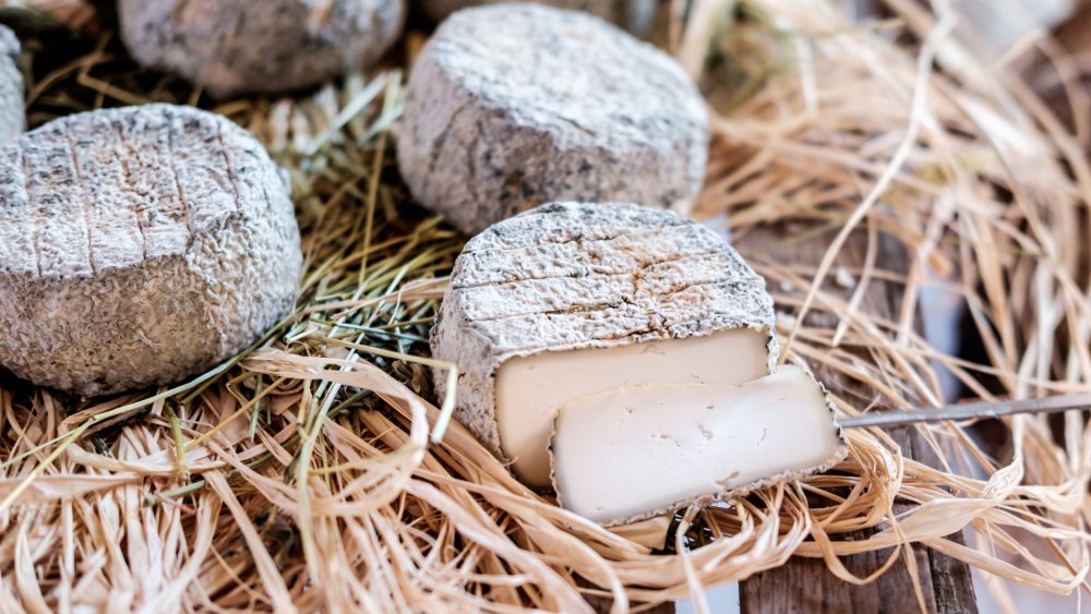 Descubra como o queijo transforma os harmoniosos acordos de vinhos e pratos