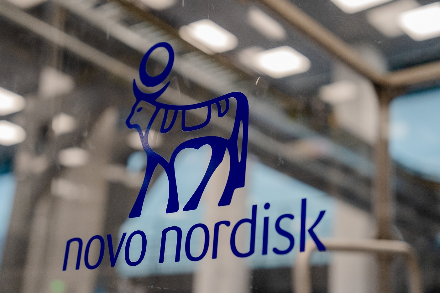 Bandeiras com os logotipos da farmacêutica dinamarquesa Novo Nordisk, fabricante dos tratamentos de diabetes e perda de peso Ozempic e Wegovy, são exibidas enquanto a empresa apresenta o relatório anual em Novo Nordisk em Bagsvaerd, Dinamarca, em 5 de fevereiro de 2025. (Foto: Mads Claus Rasmussen | Afp | Getty Images)