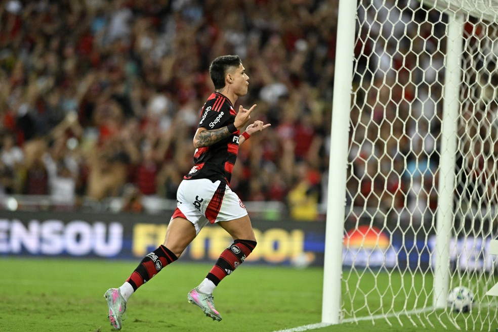 Luiz Araújo comemora gol do Flamengo sobre o Fortaleza. (Foto: André Durão)