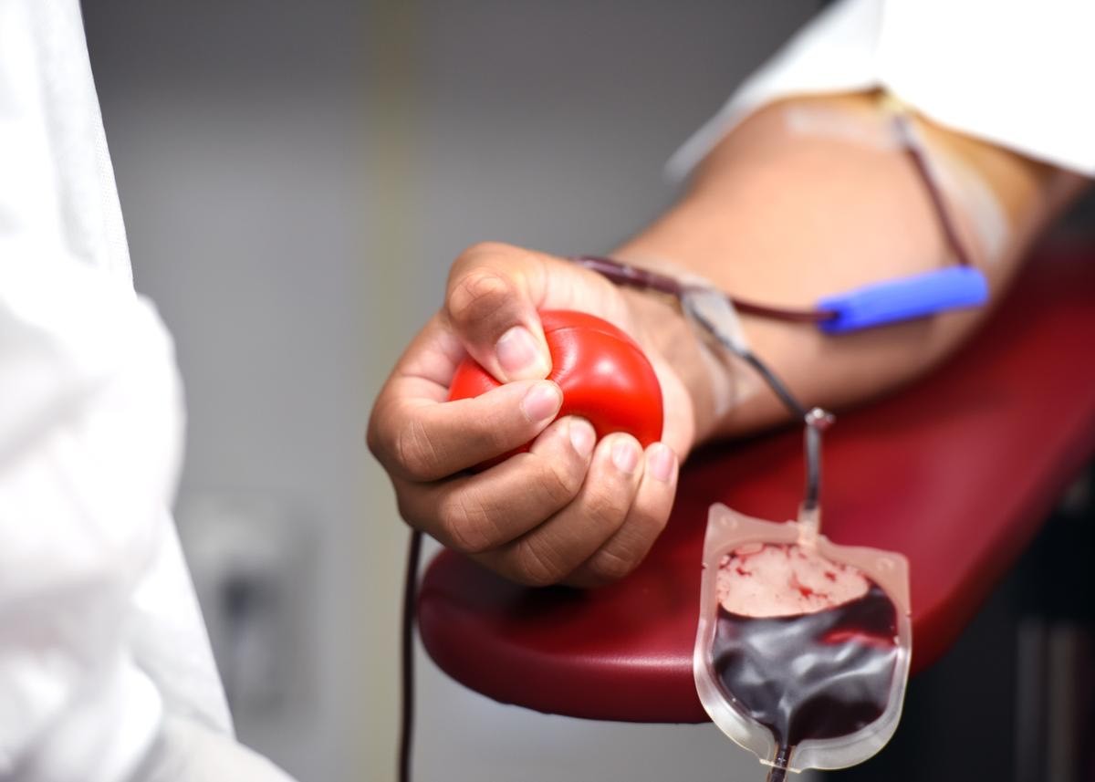 Doação de Sangue (Foto: Freepik)