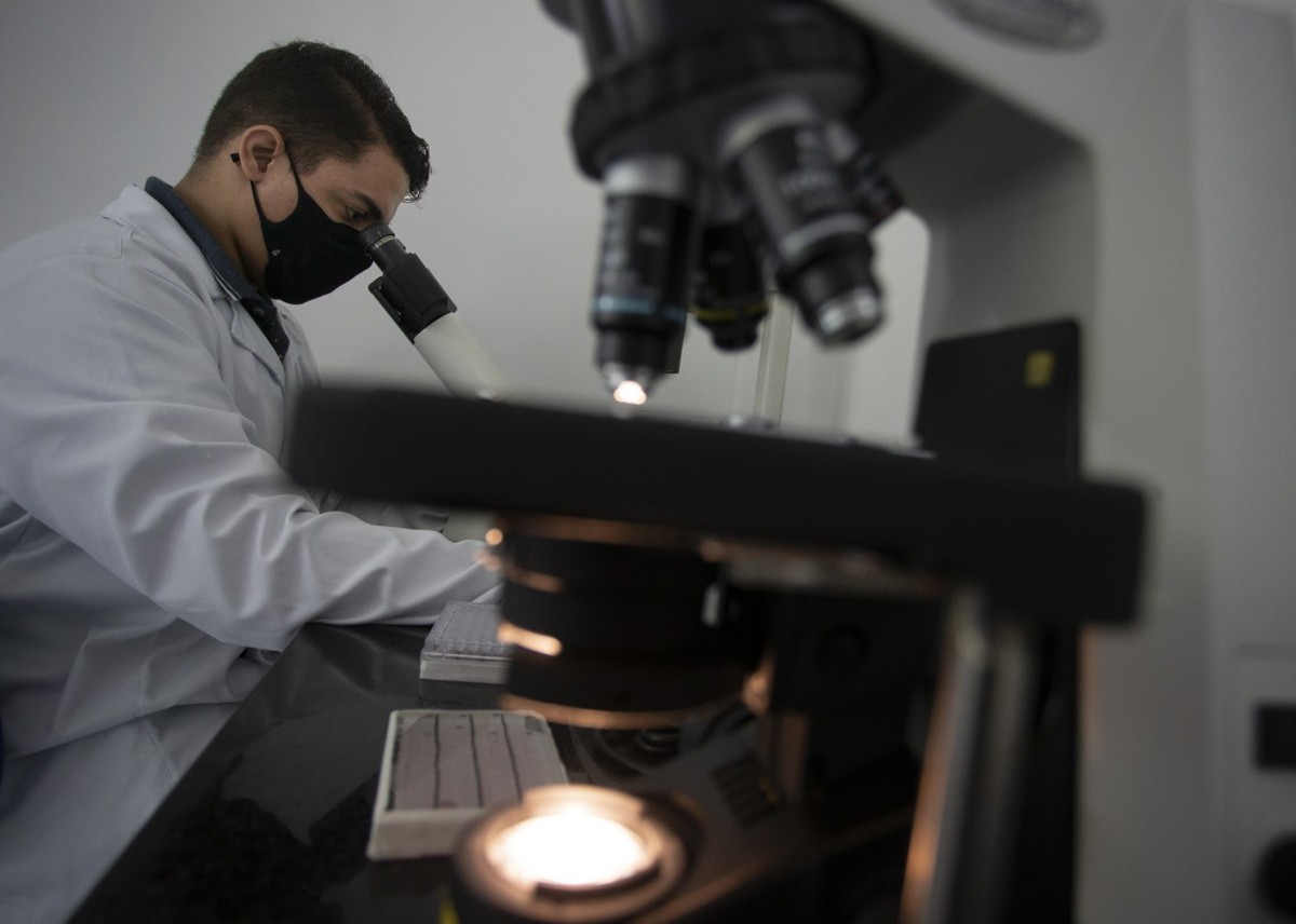 Laboratório de Imunobiotecnologia da UFRJ (Foto: Márcia Foletto/Agência O Globo)