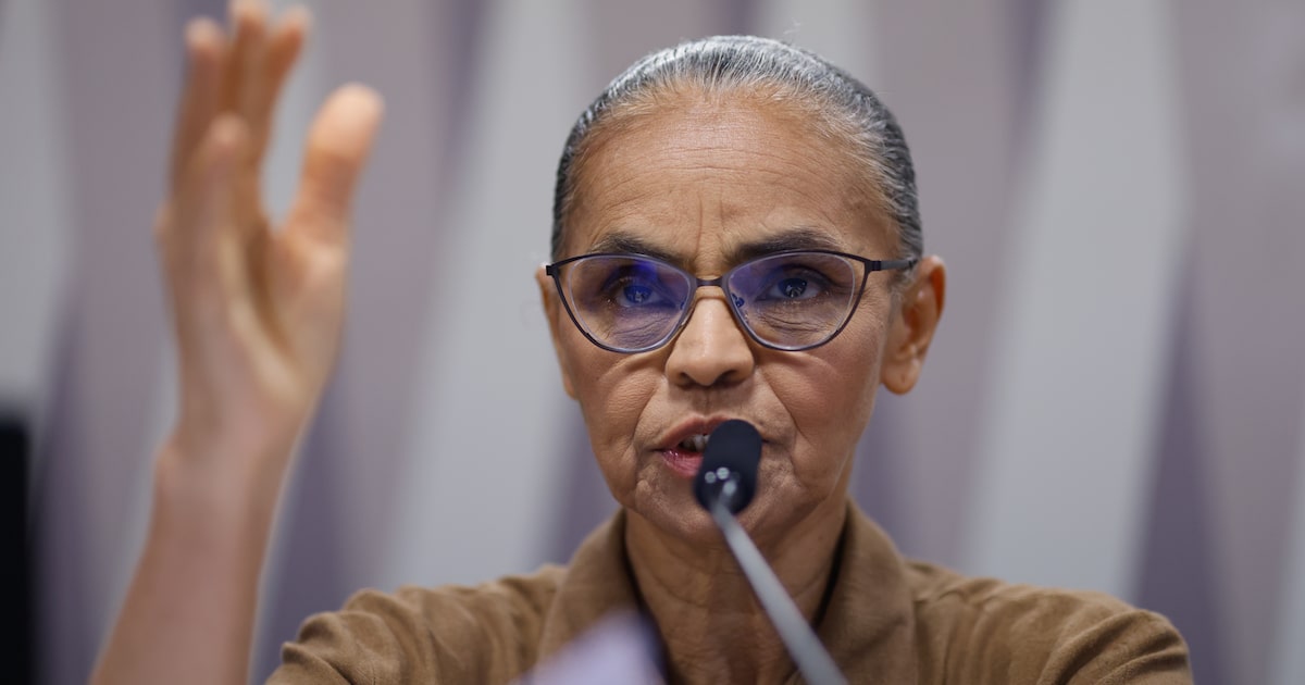 Governo deve substituir licenciamento ambiental vetado, afirma Marina Silva