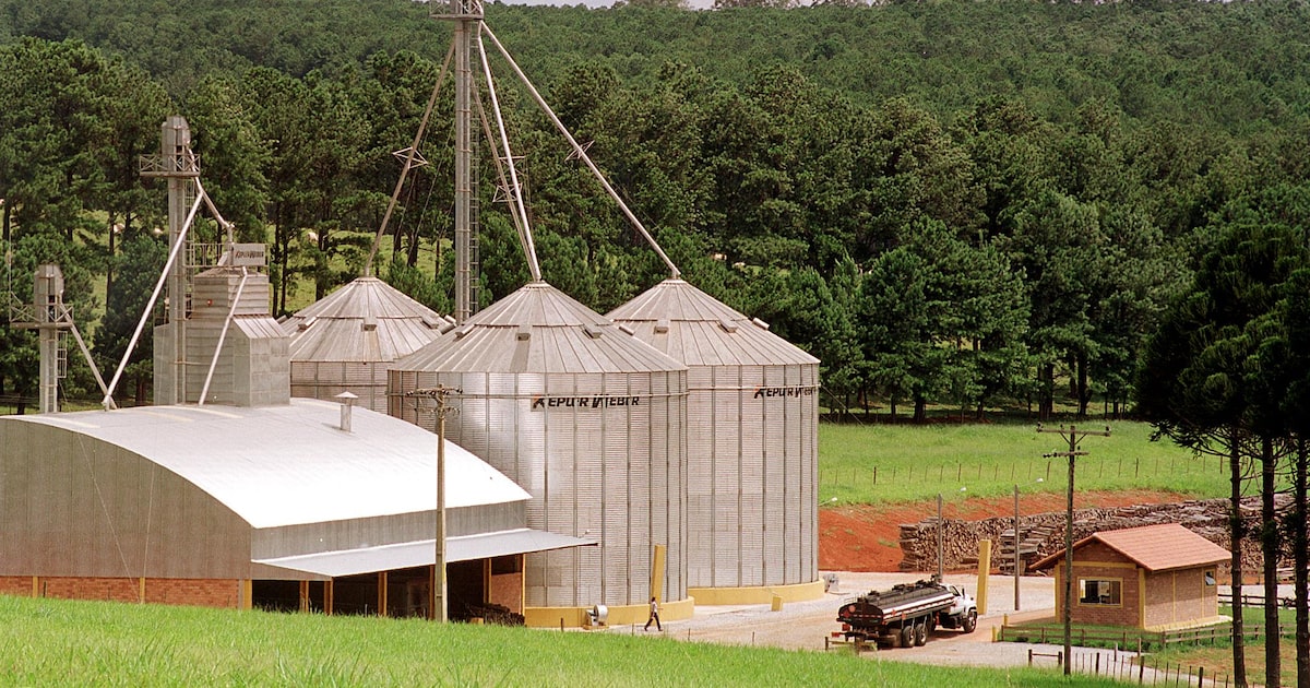 País enfrenta crise de armazenamento com safra recorde de grãos em 2023