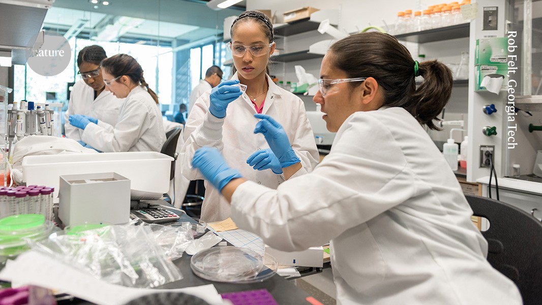 Corte drástico: NSF reduz pela metade o número de bolsas de pesquisa para jovens cientistas