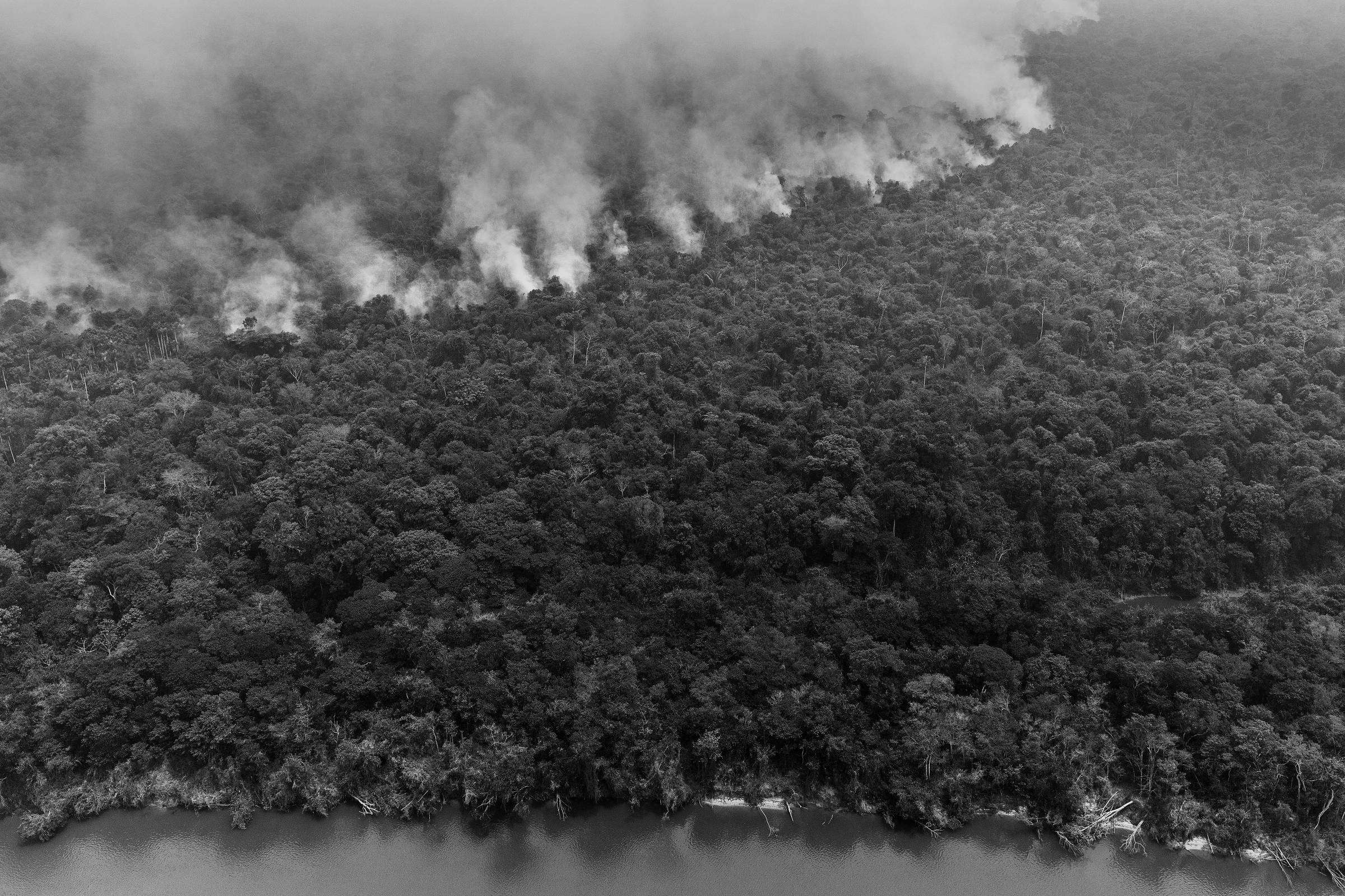 Incêndio florestal na Terra Indígena Kayapó, no Pará (Foto: Marizilda Cruppe - 17.set.24/Divulgação Greenpeace Brasil)