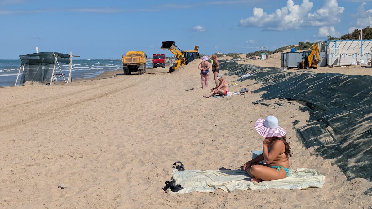 Petroleiros causam desastre ambiental com delfines mortos no turismo russo