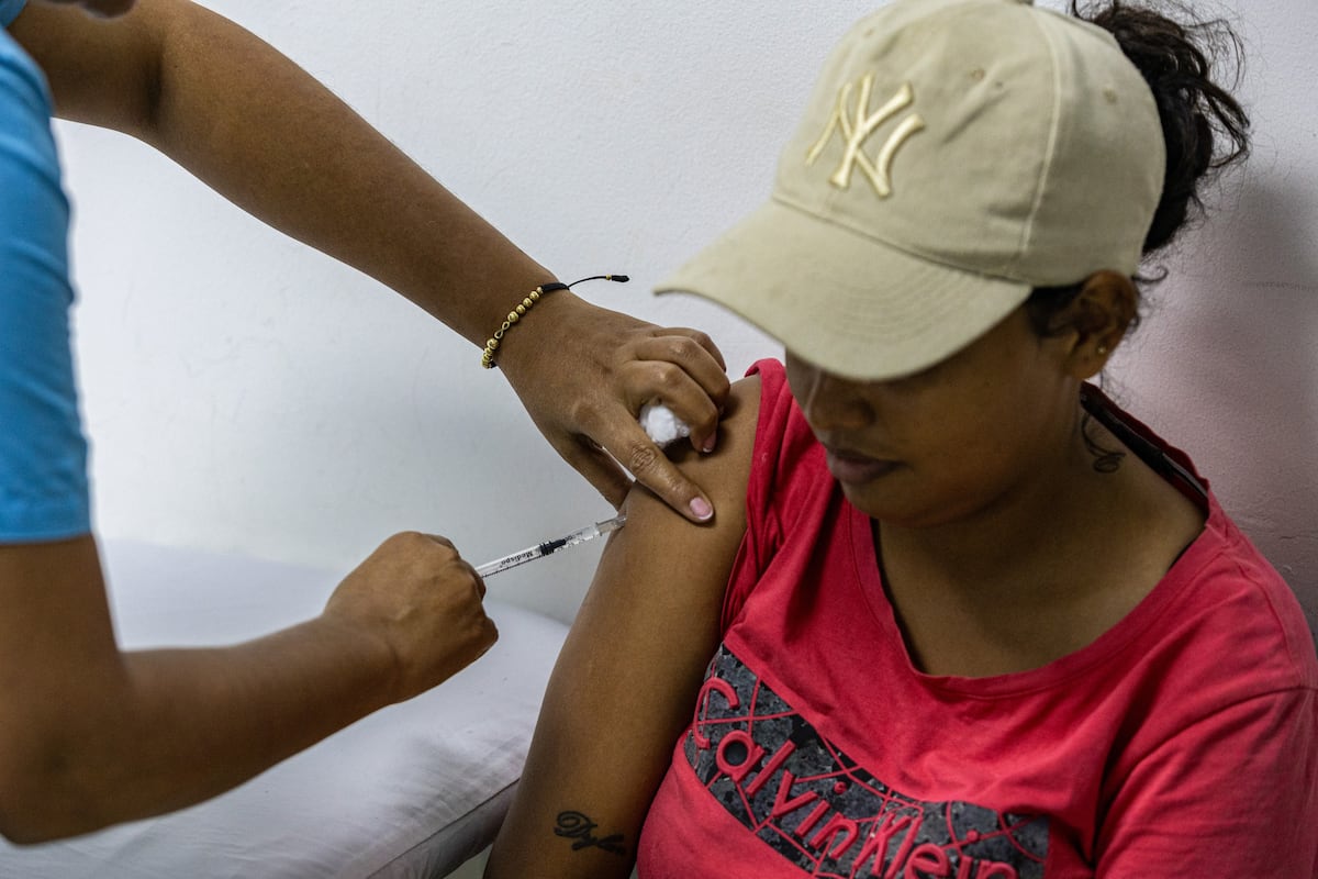 Fiebre amarela avança e preocupa países da América do Sul