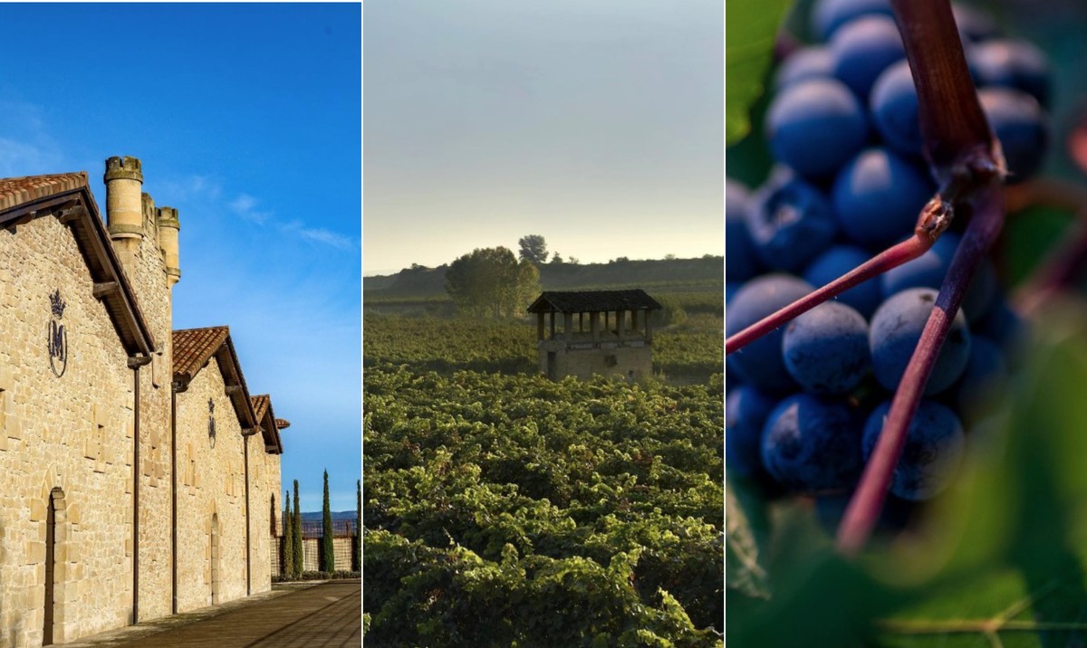 Marqués de Murrieta: vinícola premium espanhola (Foto: Reprodução / @marquesdemurrieta)