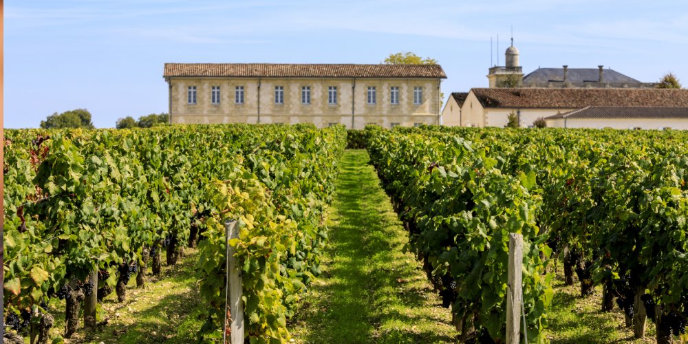 Preços dos vinhos em Bordeaux caem, mas algumas propriedades mantêm valores altos