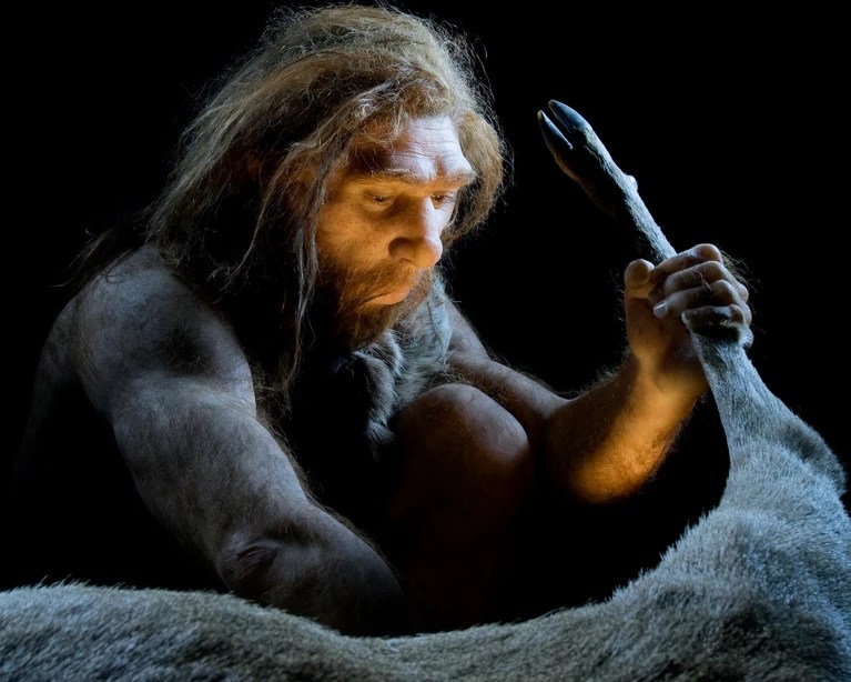 Neandertais extraíam gordura de ossos 100 mil anos antes dos humanos modernos
