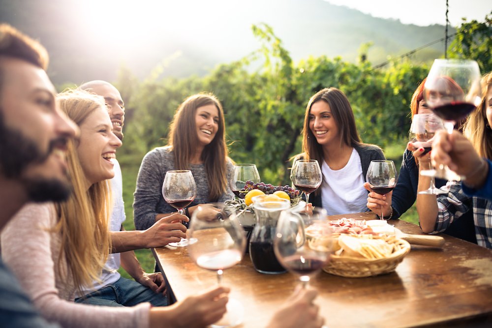 Vinhos acessíveis para um aperitivo descontraído e saboroso