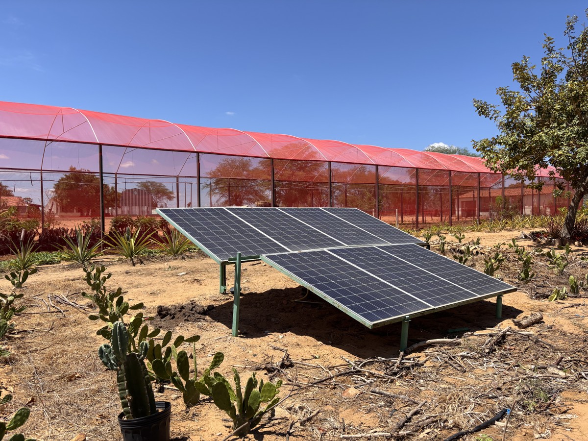 Governos do Nordeste promovem incentivos para atrair investimentos em energia solar