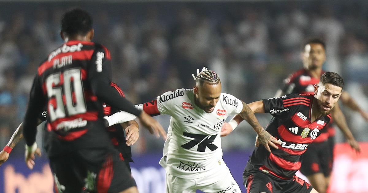Santos vence Flamengo no fim e se afasta da zona de rebaixamento no Brasileirão