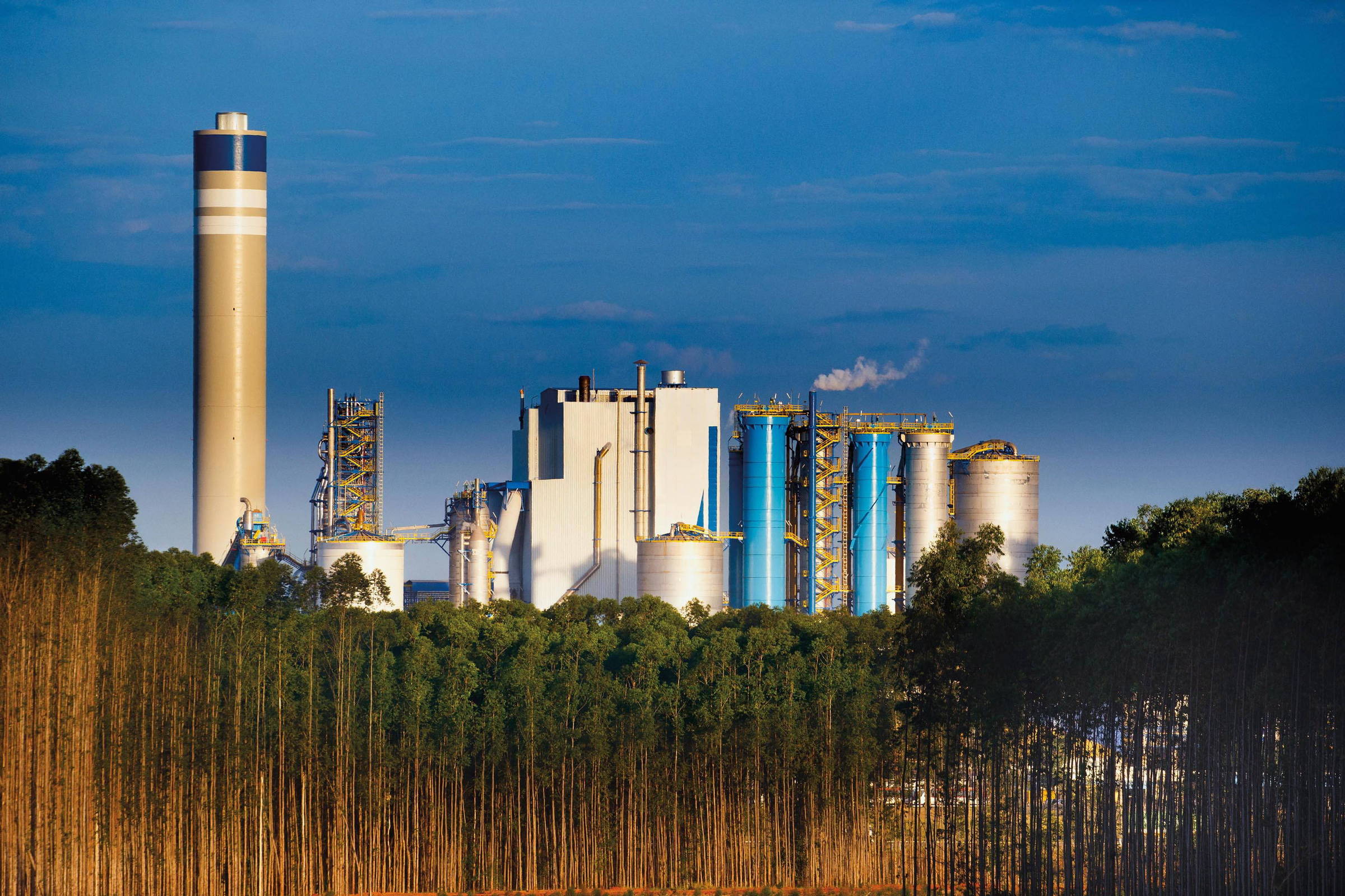 Suzano expande operações globais para enfrentar desafios da guerra comercial