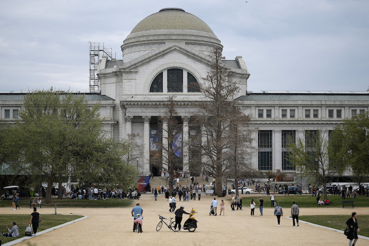 O Museu Nacional de História Natural do Smithsonian. Foto: Kevin Dietsch/Getty Images