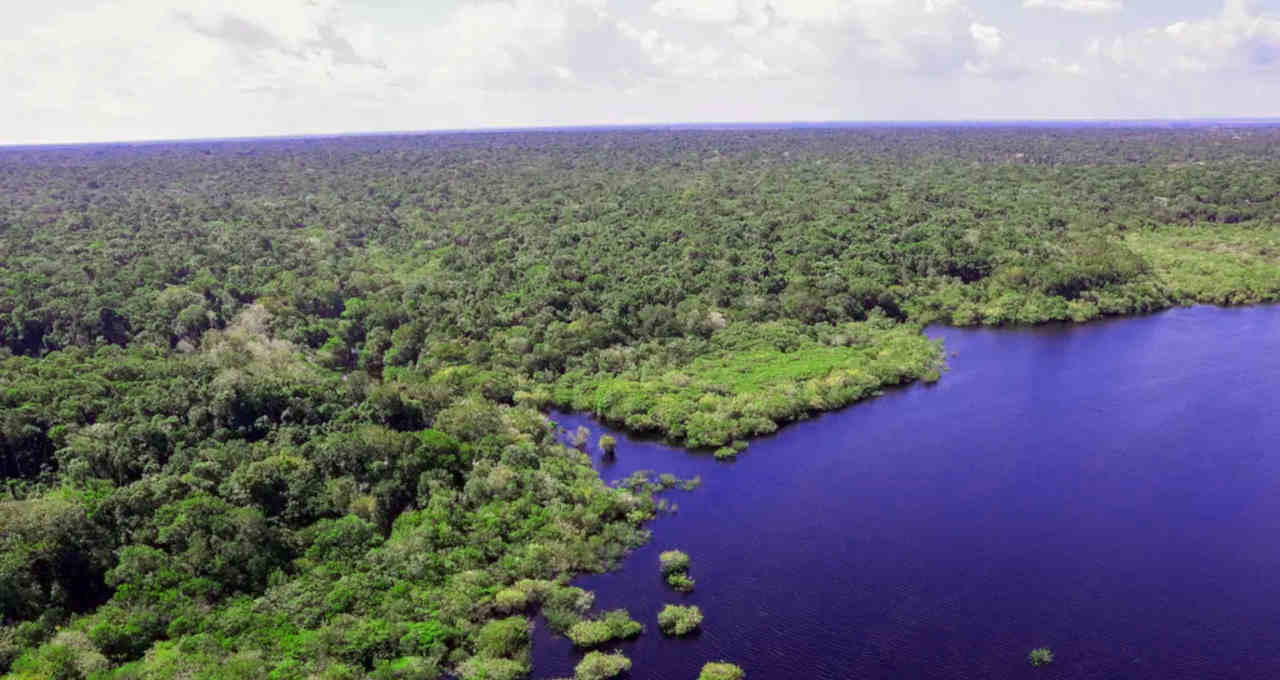 Região da Foz do Amazonas, no Amapá (Foto: Victor Moriyama/Greenpeace)
