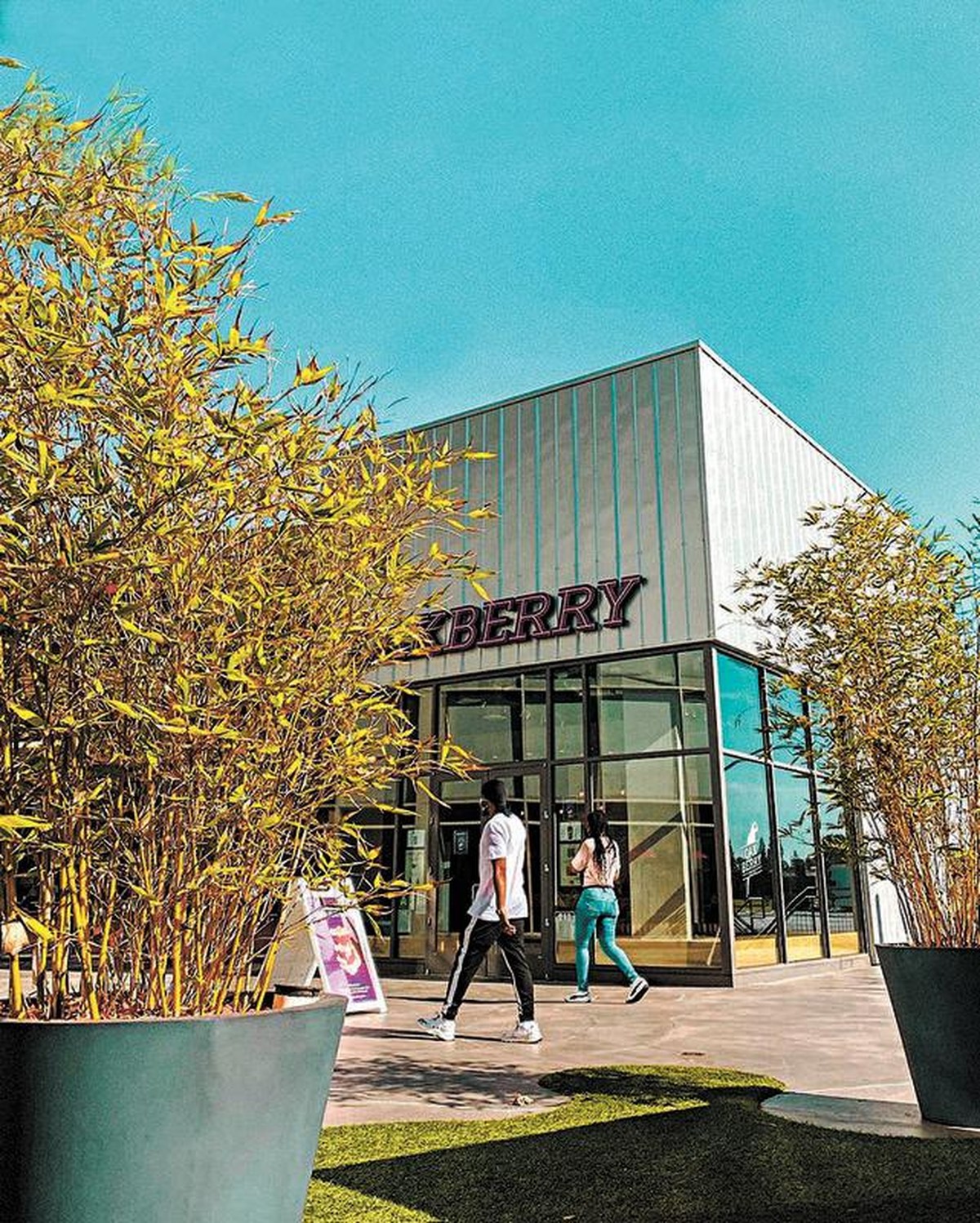Loja da Oakberry, maior franquia do Brasil nos EUA. (Foto: Divulgação)